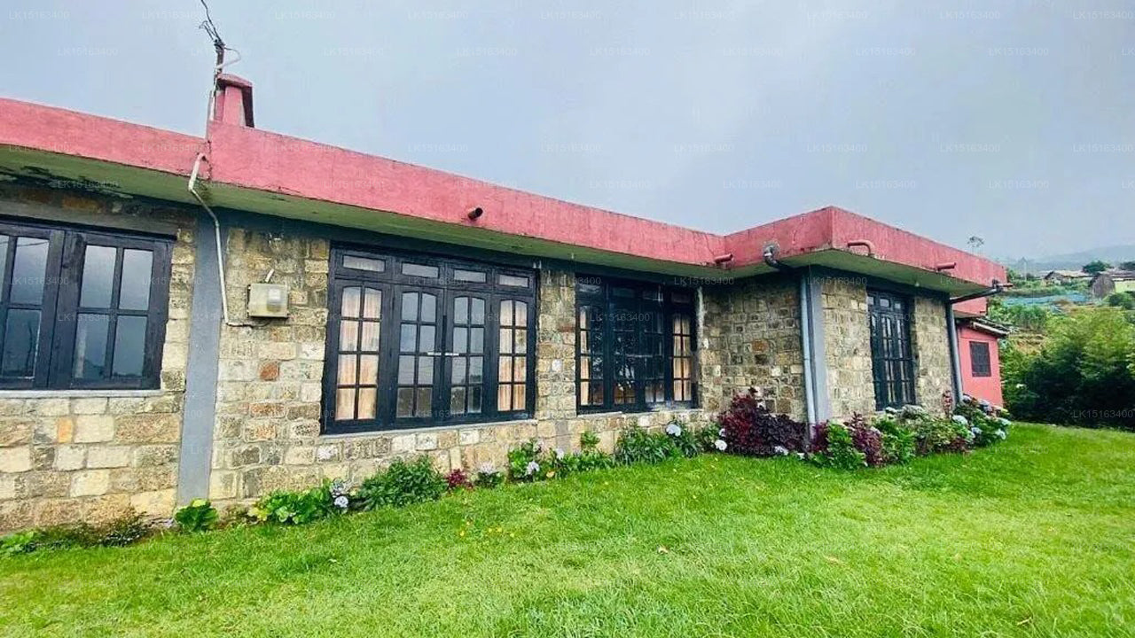Misty Mountain Lodge, Ohiya