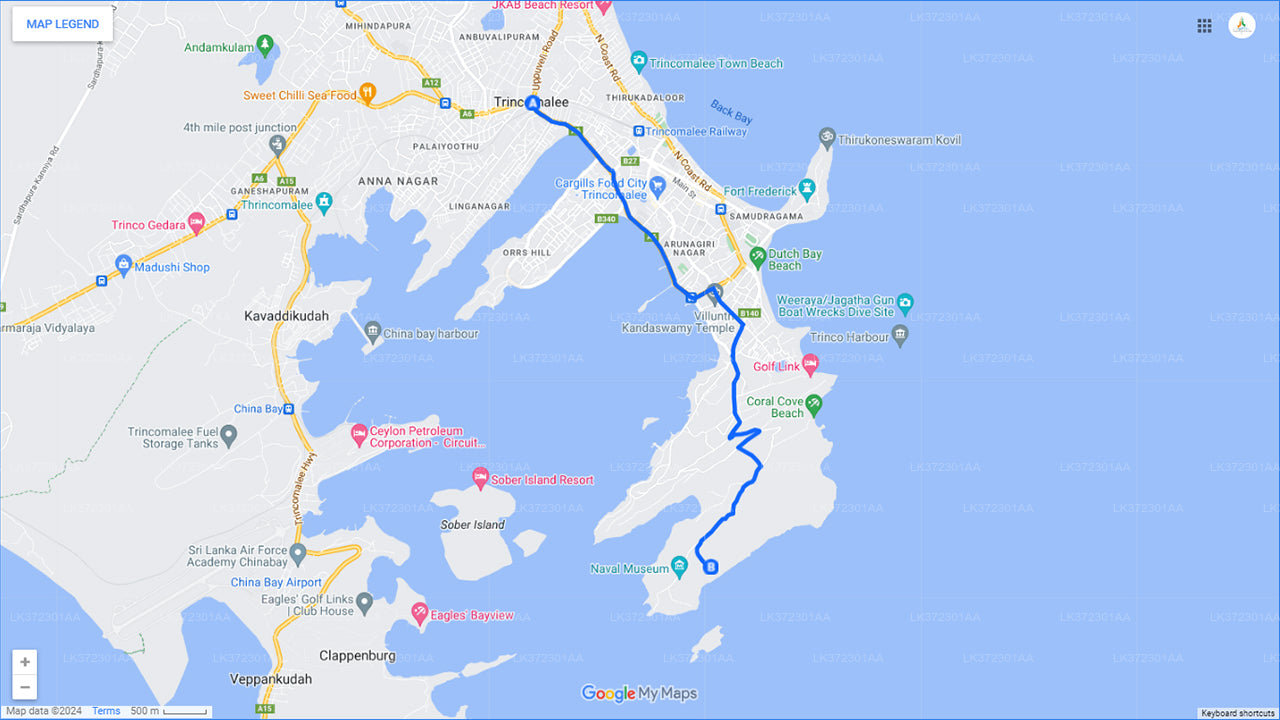 Whale Watching from Trincomalee on Private Boat