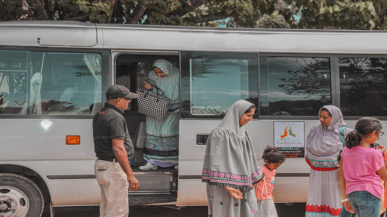 Negombo City to Nuwara Eliya City Private Transfer