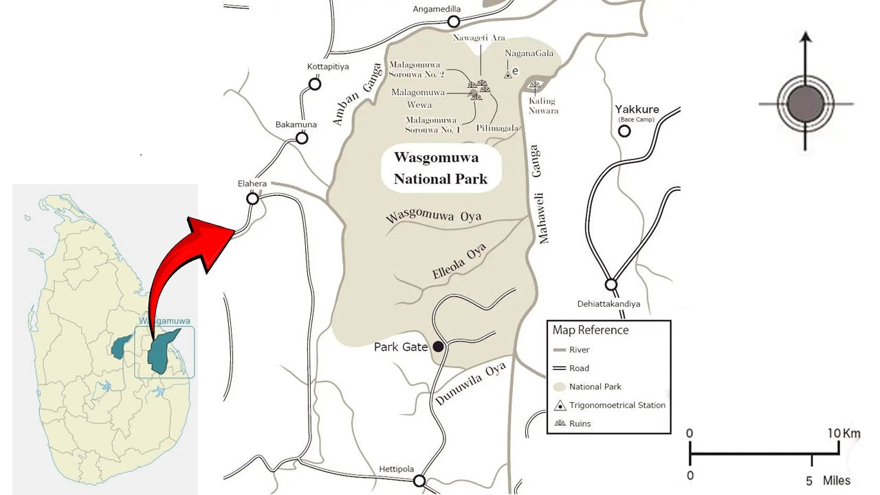 Wasgamuwa National Park Safari From Trincomalee