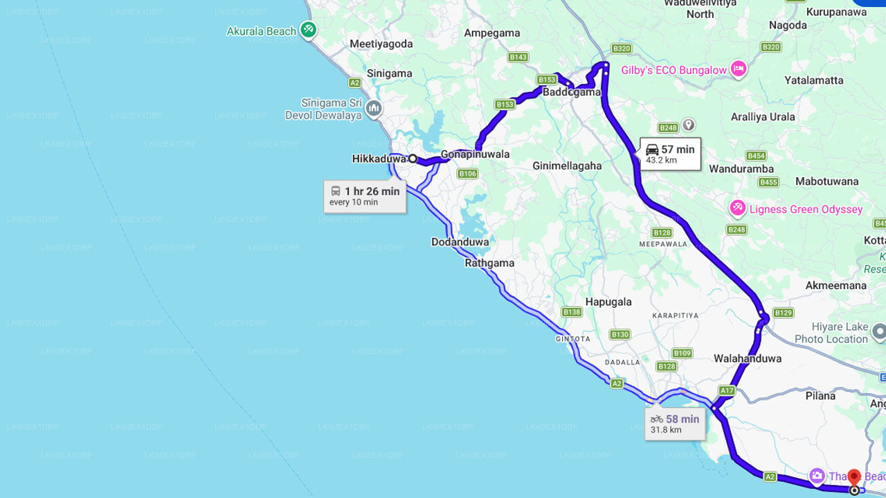 Baby Turtle Release from Habaraduwa