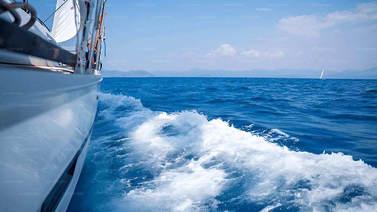 Overnight Sailing Escape from Colombo