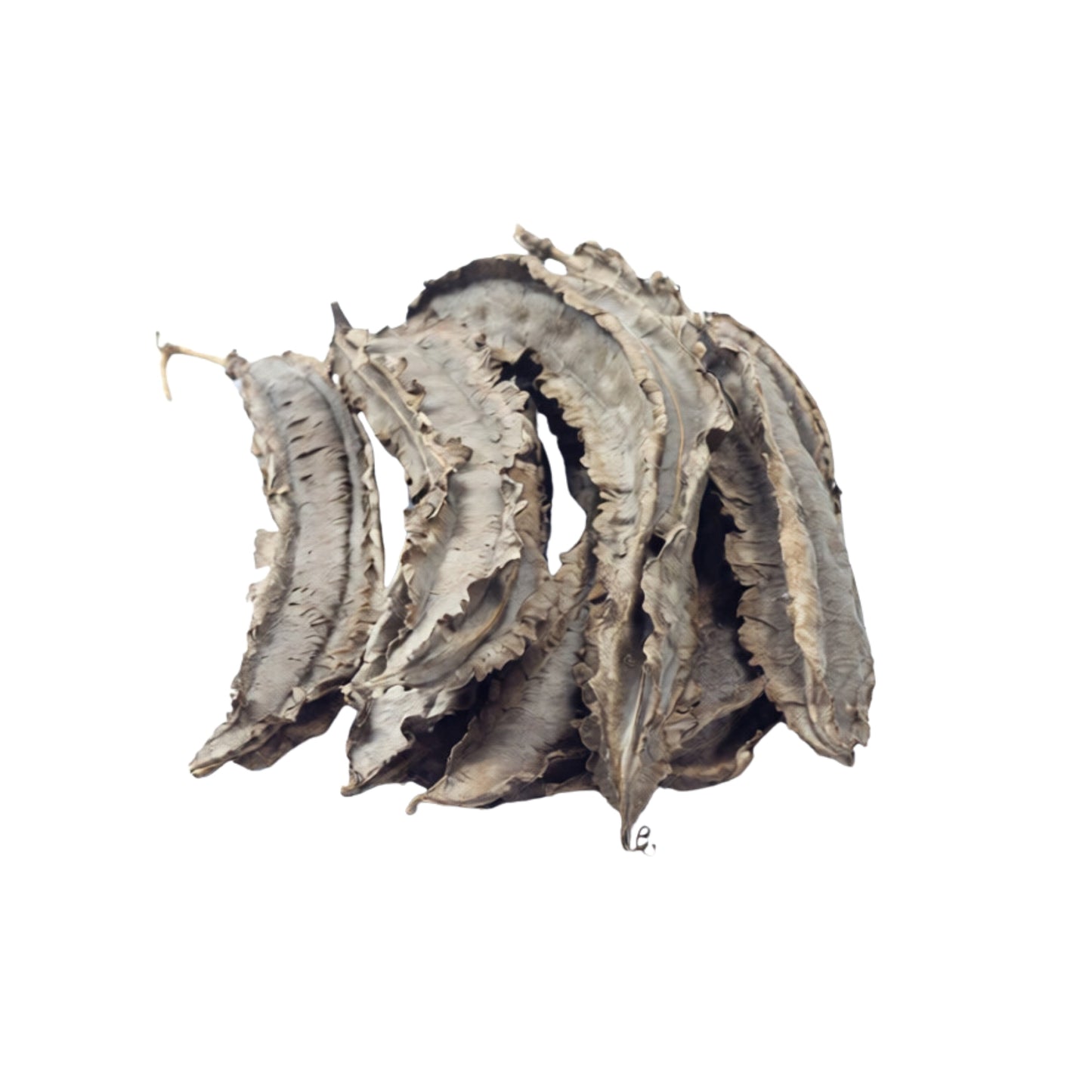 Lakpura® Winged Beans