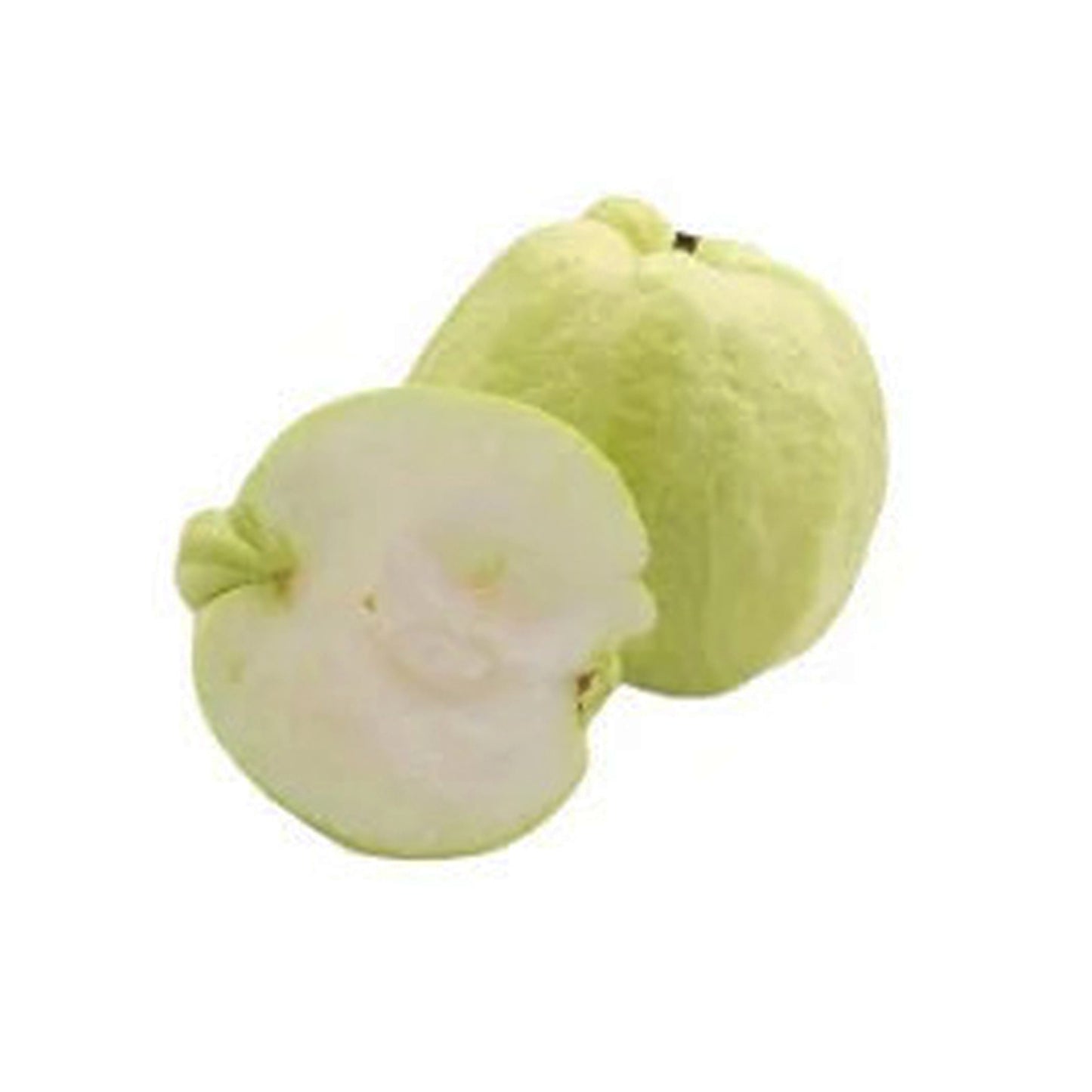 Lakpura White Apple Guava Fruit Plant