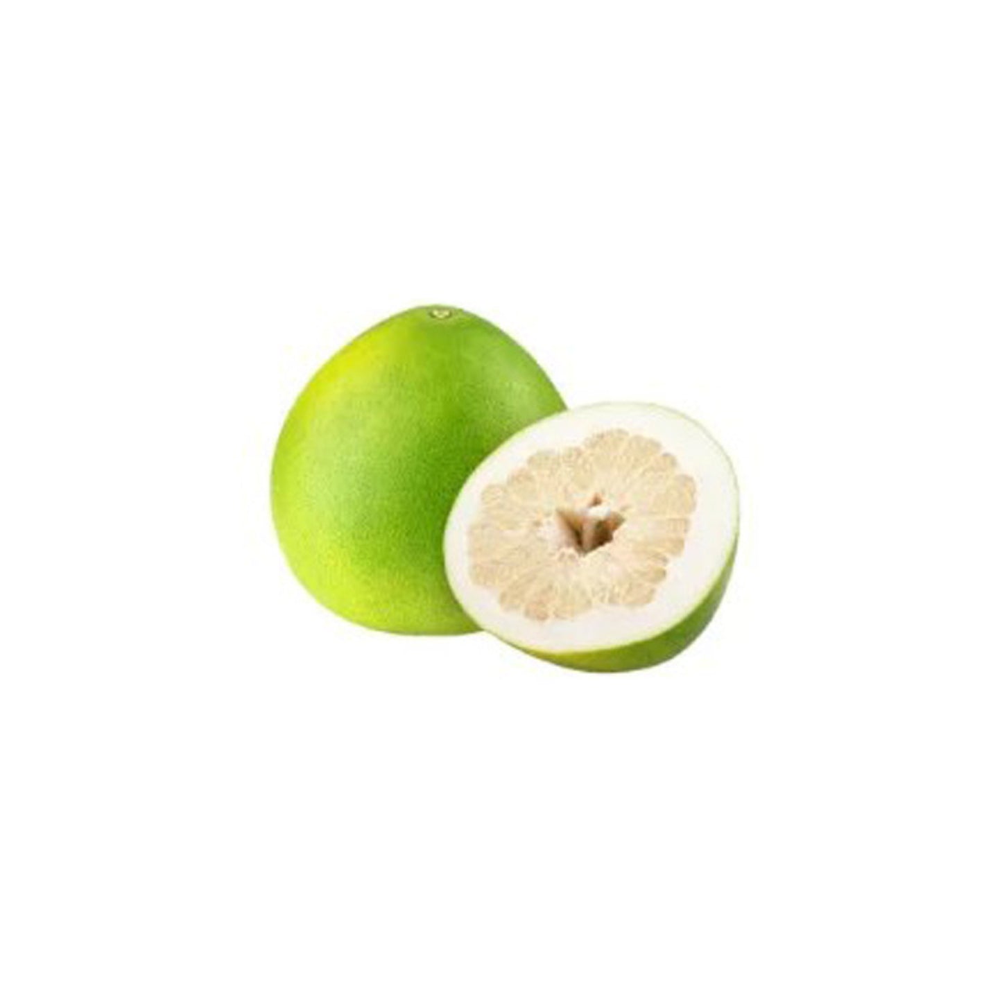 Lakpura® Thai White Pomelo Grafted Plant