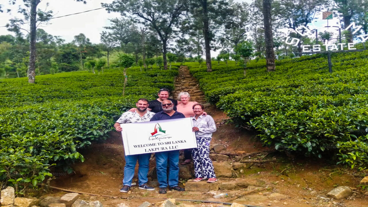 Transfer between Colombo (CMB) Airport and Grand Hotel, Nuwara Eliya