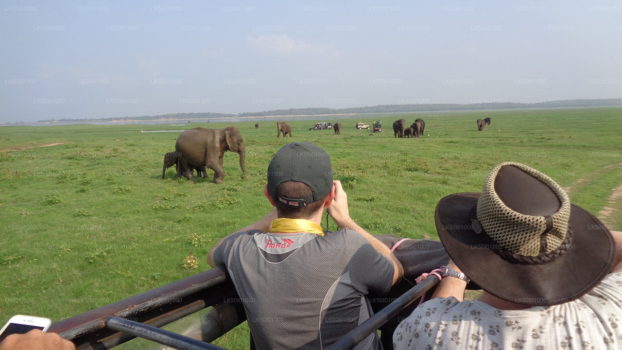 Wasgamuwa National Park Private Safari
