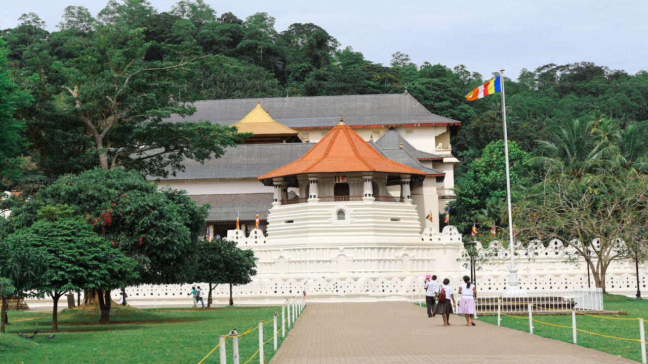 Temple of The Sacred Tooth Relic Entrance Ticket with Guide
