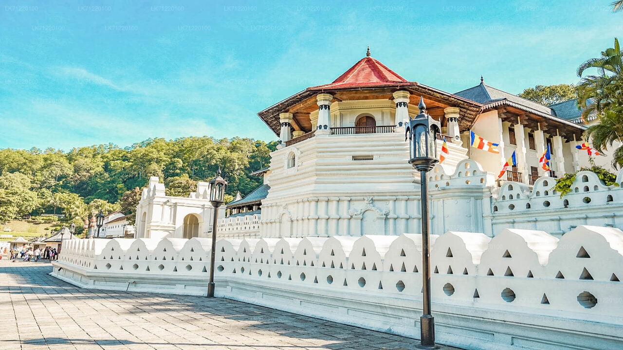 Temple of The Sacred Tooth Relic Entrance Ticket with Guide