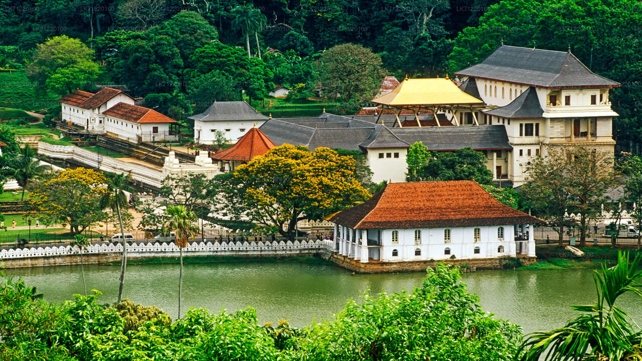 Temple of The Sacred Tooth Relic Entrance Ticket with Guide