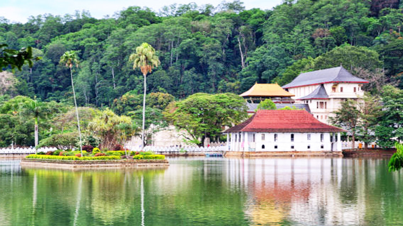 Temple of The Sacred Tooth Relic Entrance Ticket with Guide