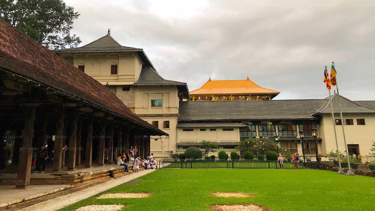 Temple of The Sacred Tooth Relic Entrance Ticket with Guide