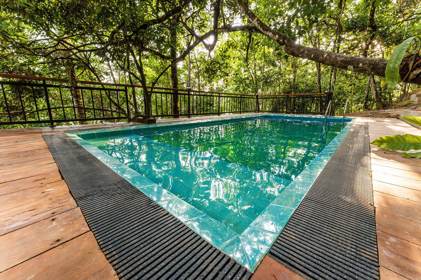 Trance Rabara Resort, Kithulgala