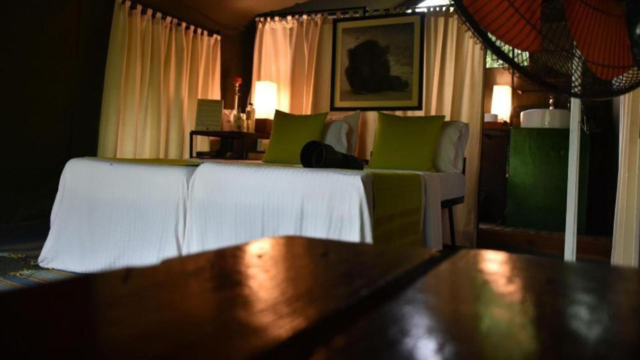 Explorer by Eco Team, Dambana