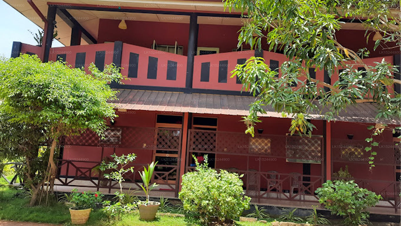 Red Banana, Chilaw