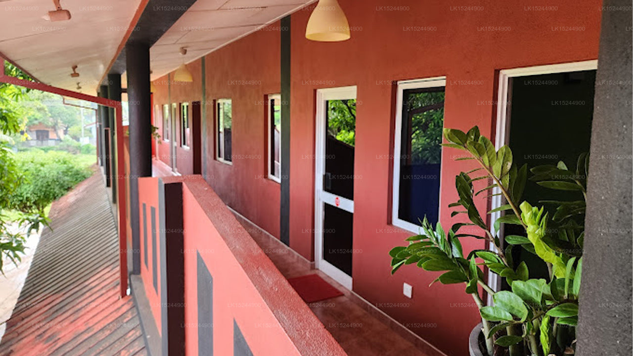 Red Banana, Chilaw