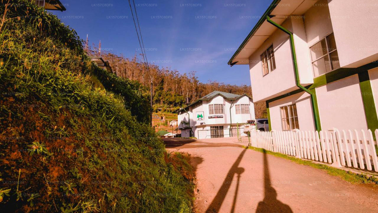 Aruna Resort, Nuwara Eliya