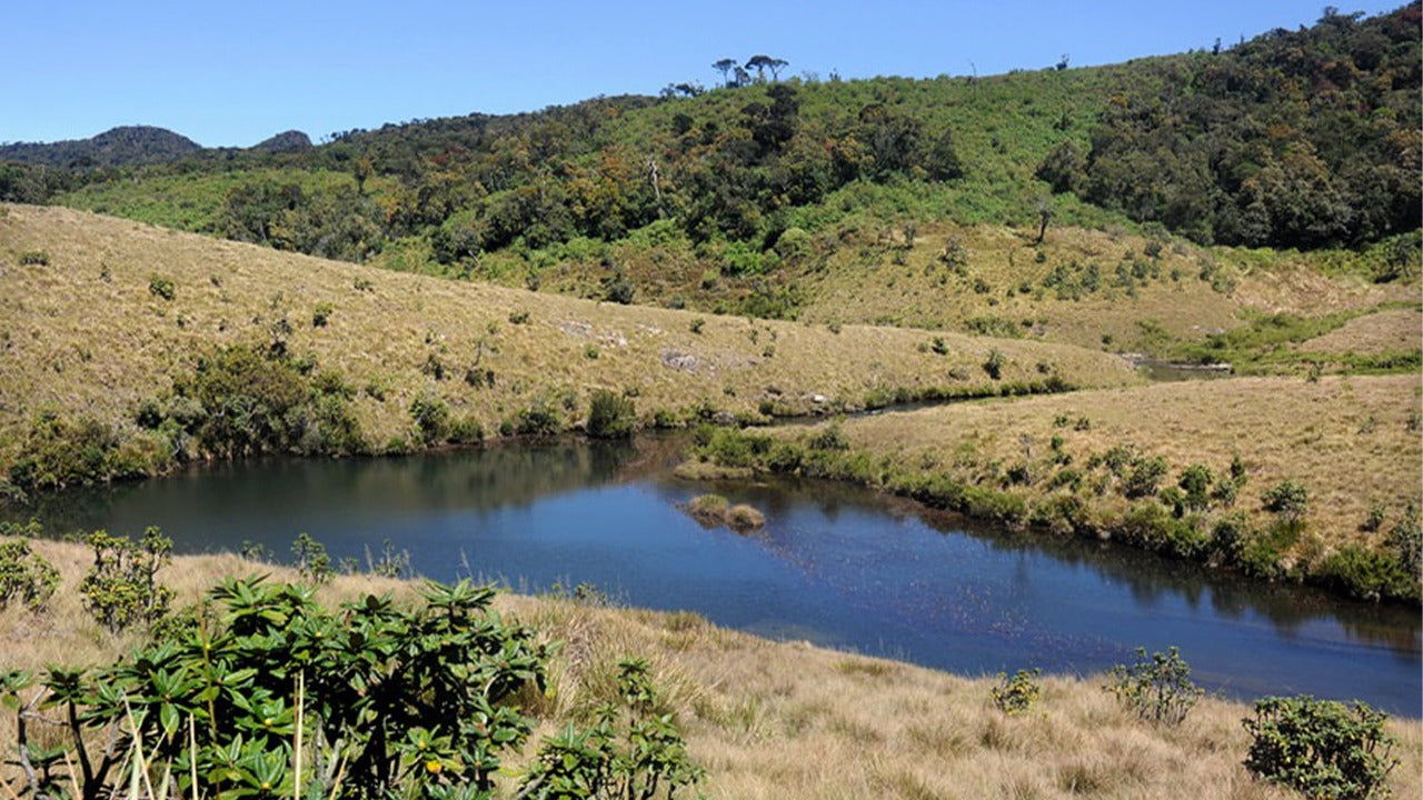 Horton Plains National Park Guided Tour with Entrance Tickets