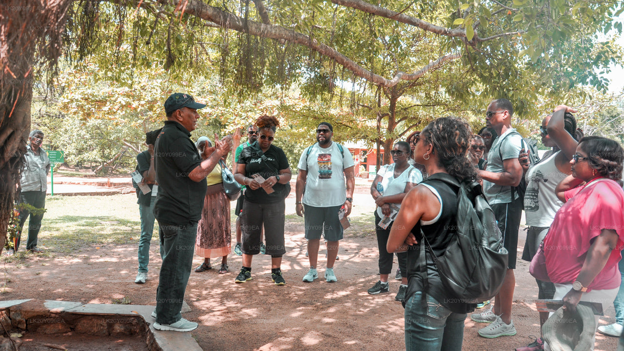 Site Guides