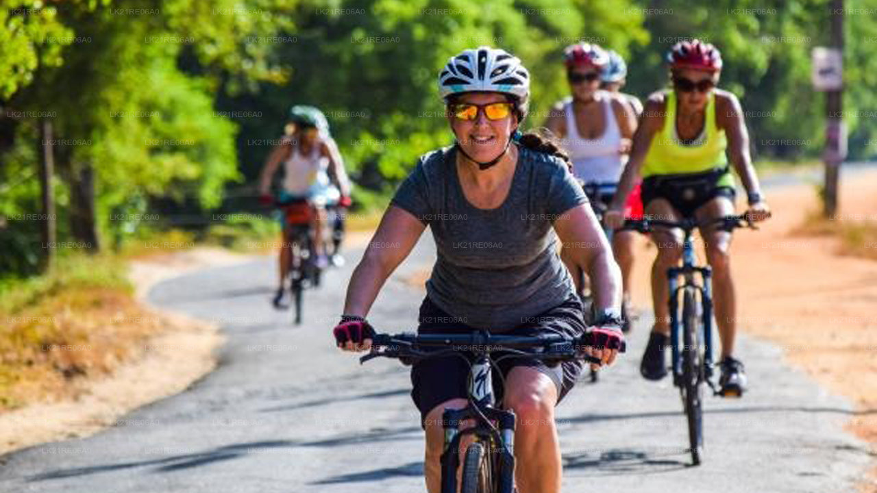 Bicycle Rental from Galle