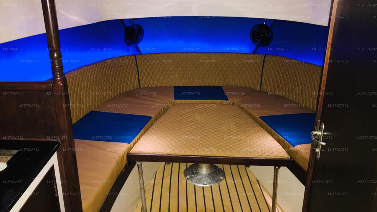 Private Whale Watching Tour by Luxury Speedboat from Mirissa