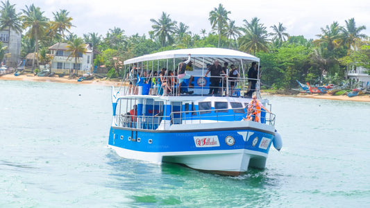 Whale Watching from Balapitiya on Shared Boat