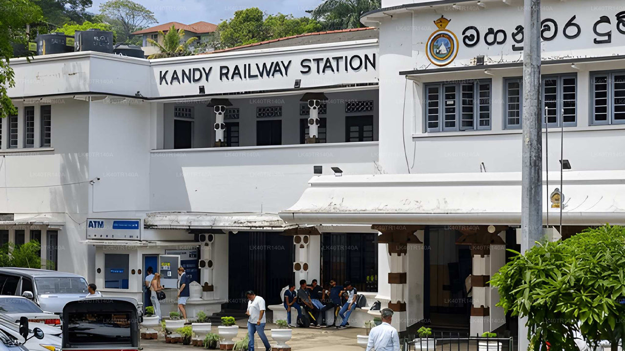 Kandy to Ella: A Scenic Journey by Train and Car or Van