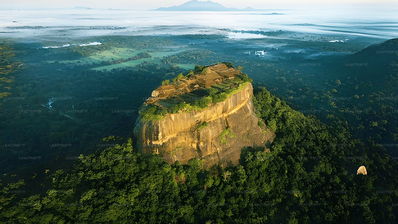 Private Transfer from Colombo to Sigiriya with Sightseeing Stops