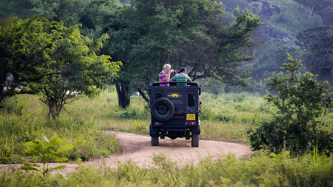 Yala National Park Ethical Safari in Block 5