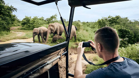 Private Tour from Ella to Hiriketiya with Udawalawe Safari
