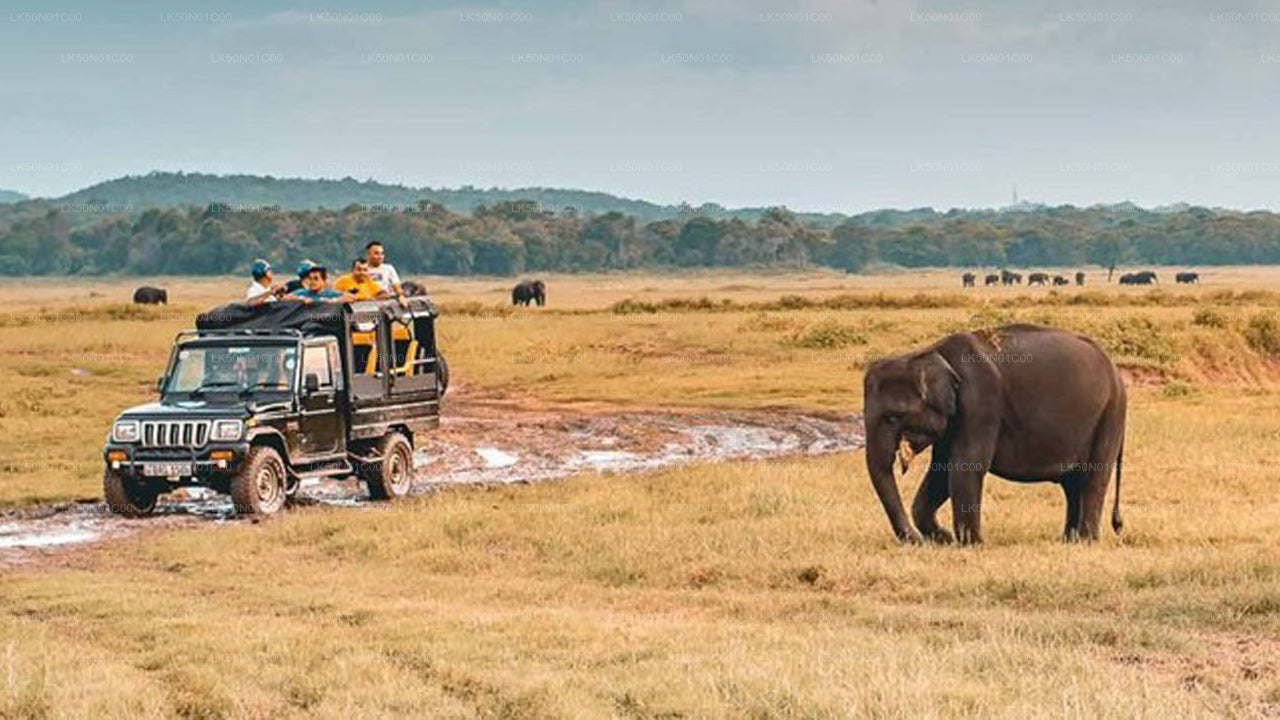 Maduru Oya National Park Private Safari with Naturalist
