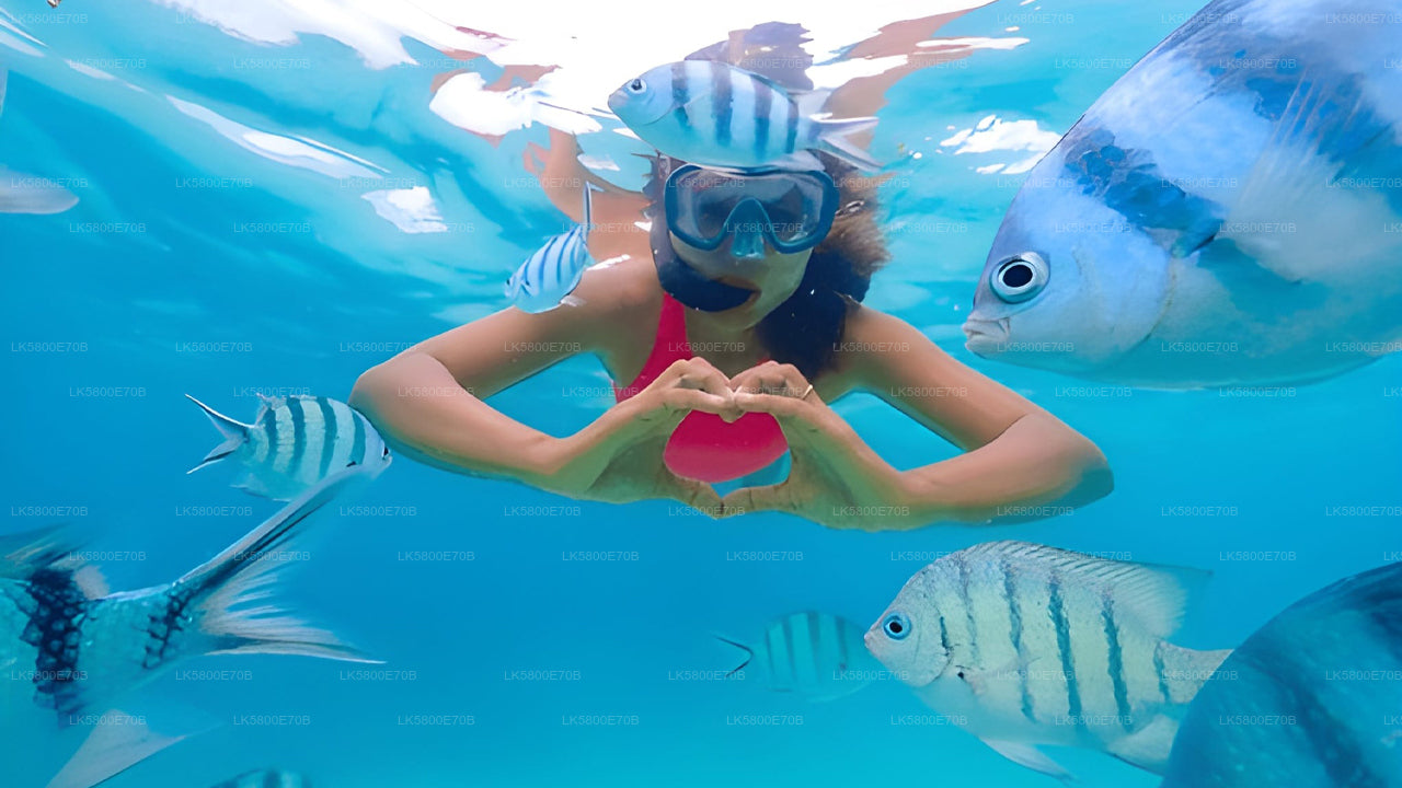 Snorkeling with Sea Turtles from Pigeon Island