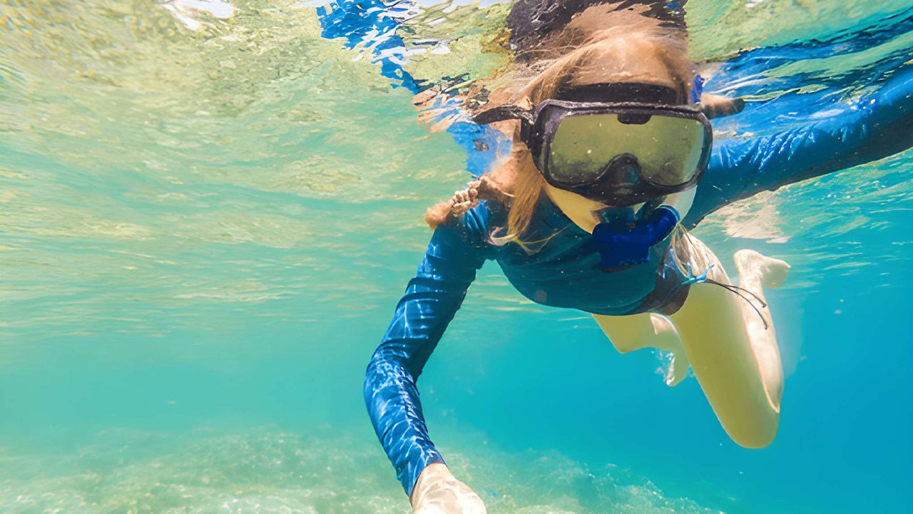 Snorkeling with Sea Turtles from Bentota