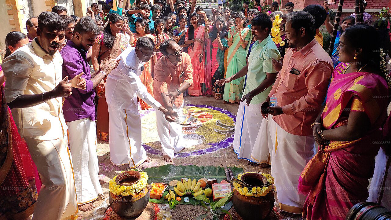 Kandapola Tamil Cultural Experience from Nuwara Eliya