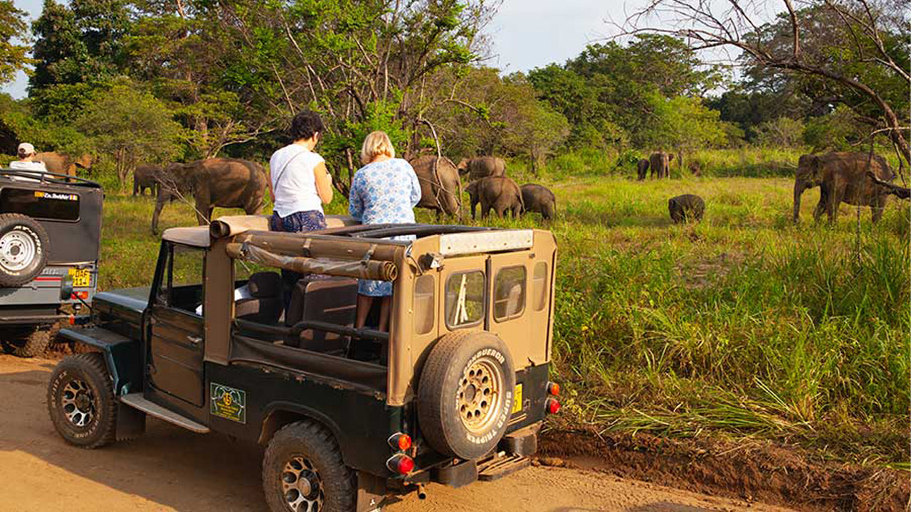 Hurulu Eco Park Safari Day Trip from Pasikuda