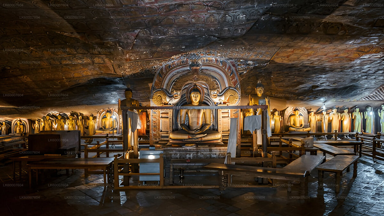 Sigiriya and Dambulla Cave from Bentota