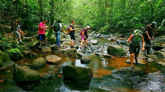 Sinharaja Rainforest Day Trip from Ahangama