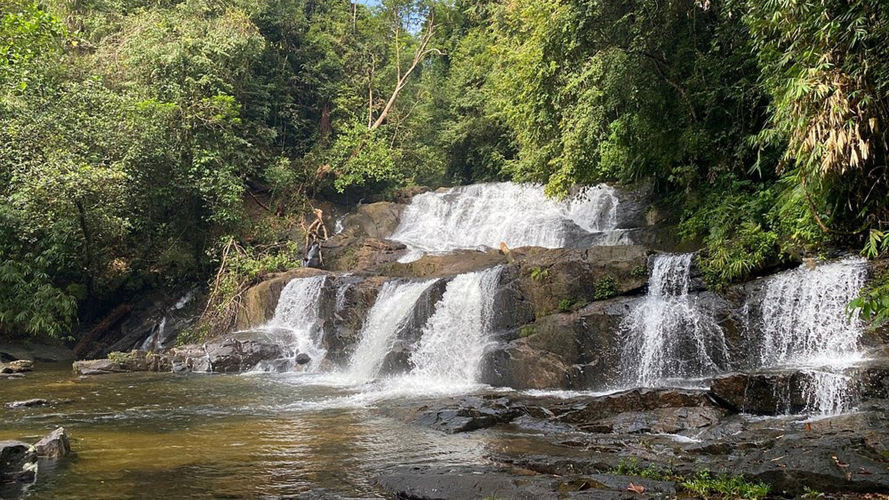 Sinharaja Rainforest Day Trip from Ahangama