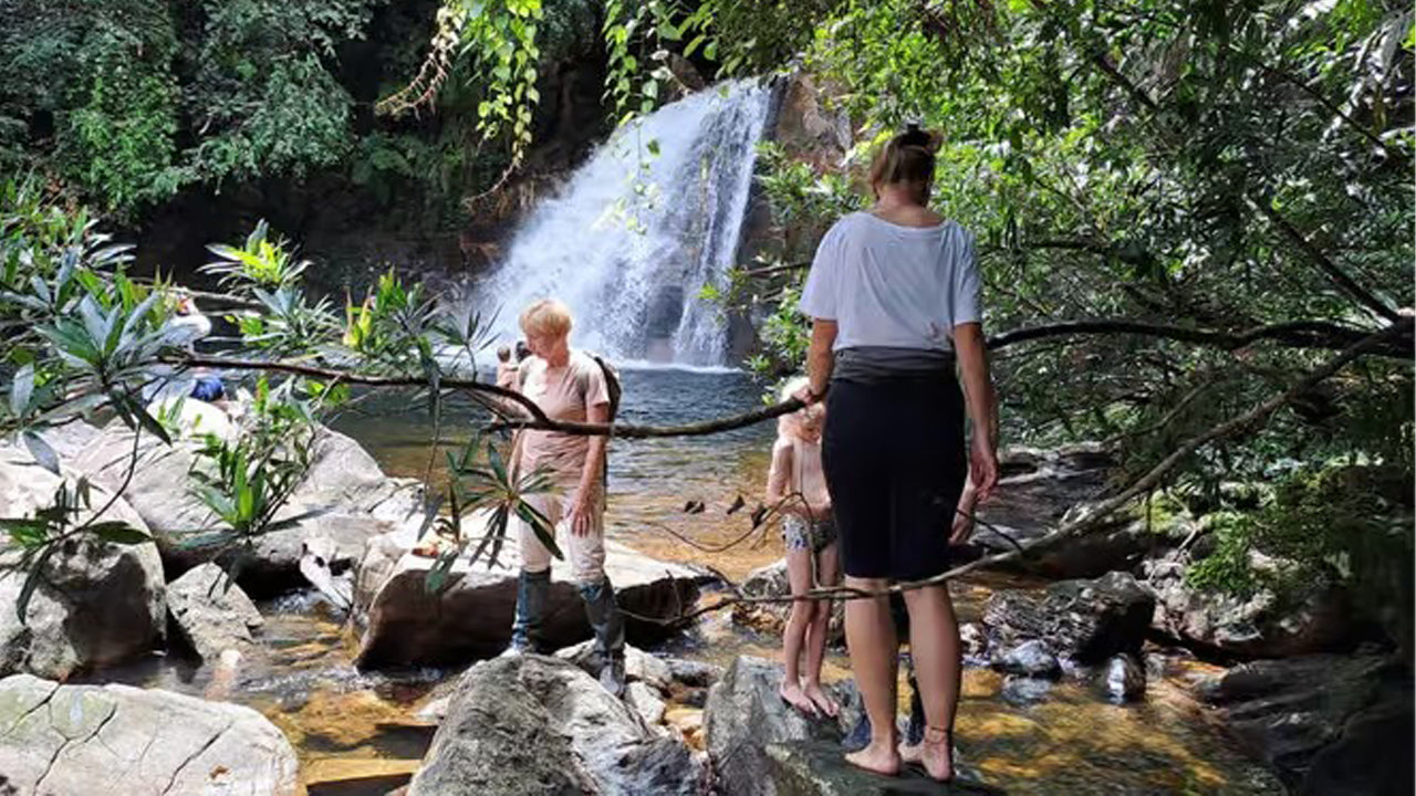 Sinharaja Rainforest Day Trip from Ahangama