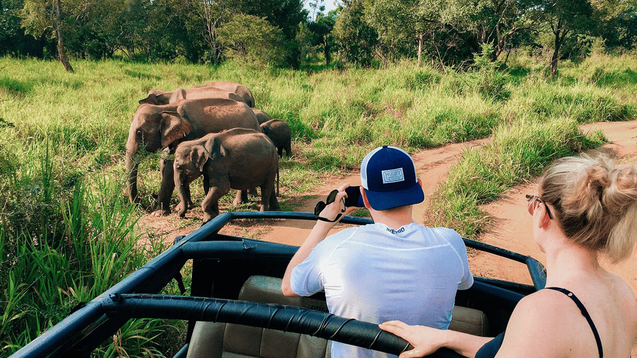 Polonnaruwa Heritage and Hurulu Eco Park Safari from Pasikuda