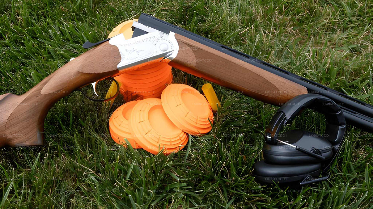 Archery bow and orange targets on grass