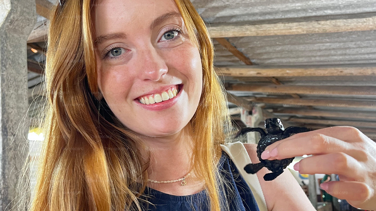 Explore Galle's hidden gems & Dine with Locals