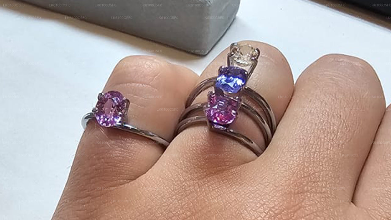 Explore Galle's hidden gems & Dine with Locals