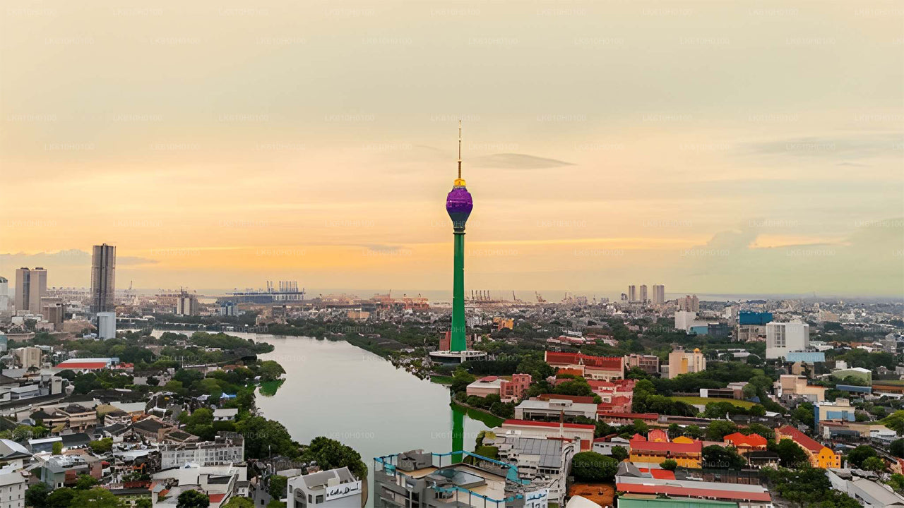 Ella to Colombo: Scenic Train Ride & Private Transfer