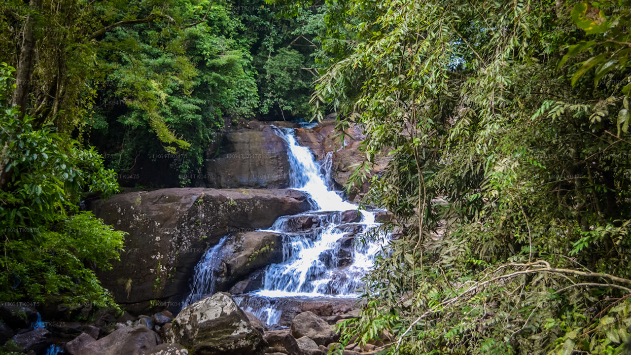 Kanneliya Rainforest Trek from Galle