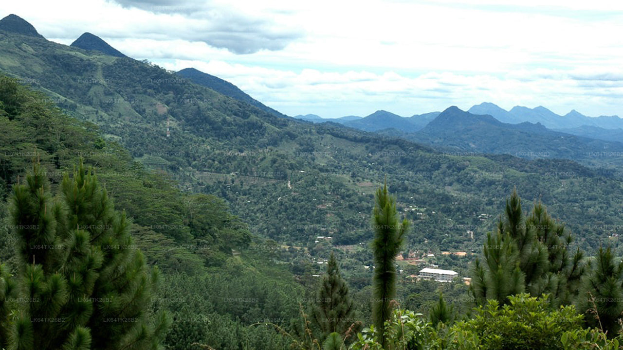 Trek to Lion’s Rock from Sinharaja Rain Forest