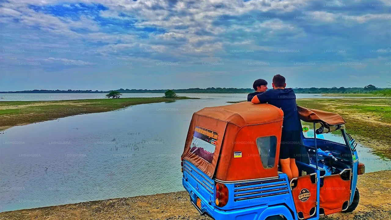 Tuk Tuk Safari from Tangalle
