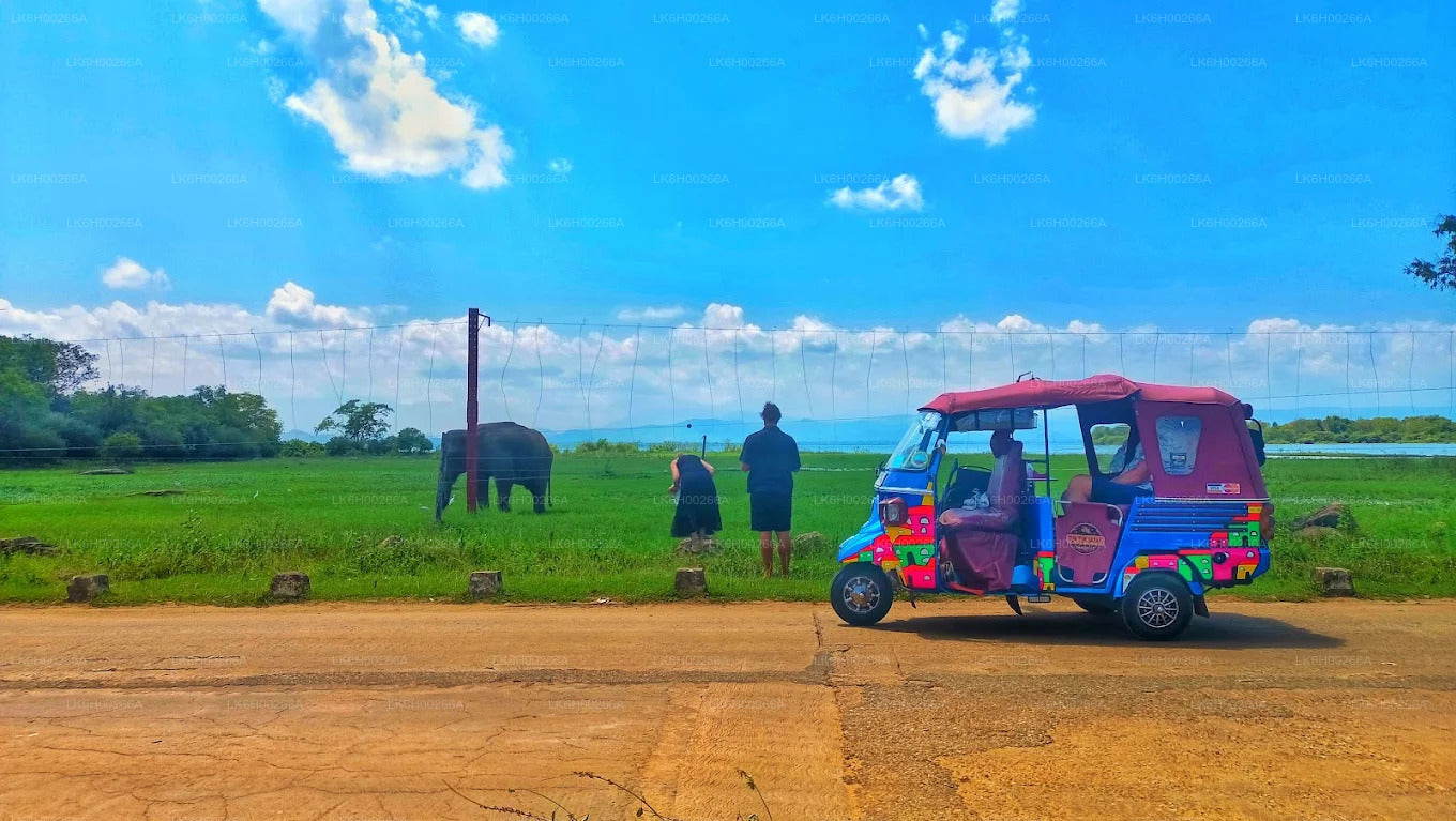 Tuk Tuk Safari from Tangalle