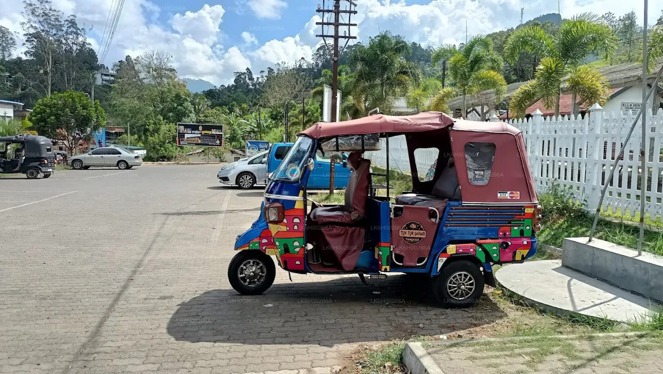 Tuk Tuk Safari from Tangalle