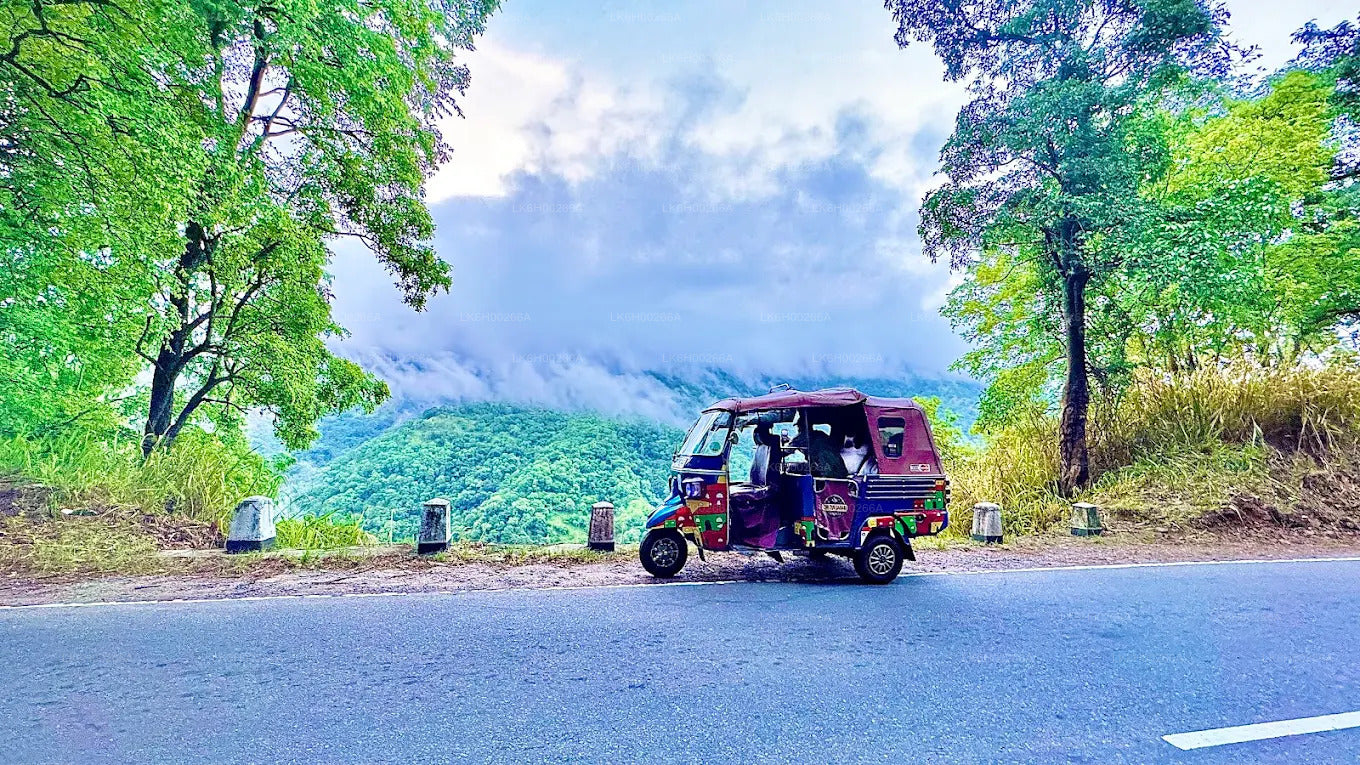 Tuk Tuk Safari from Tangalle